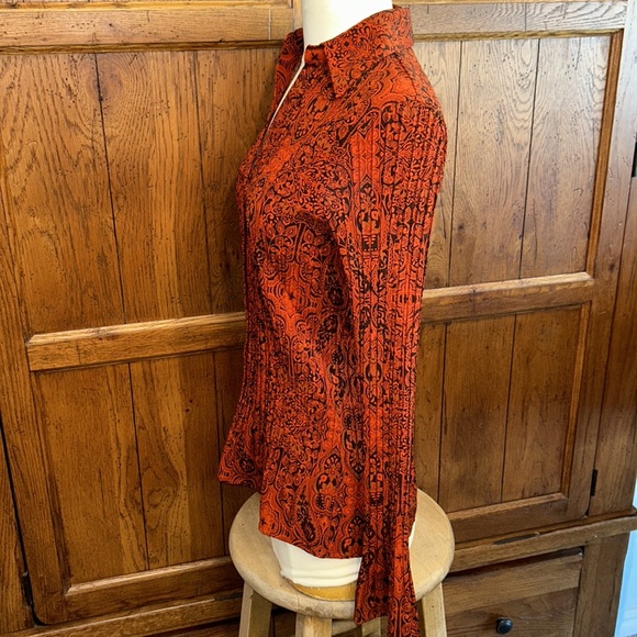 Pretty Rust & Deep Brown FALL Top🍁Button-Up🍁Bell sleeves🍃VERY GOOD CONDITION! - Picture 2 of 9